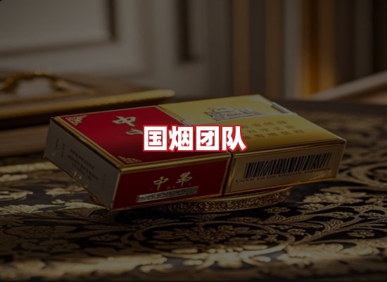 国烟团队